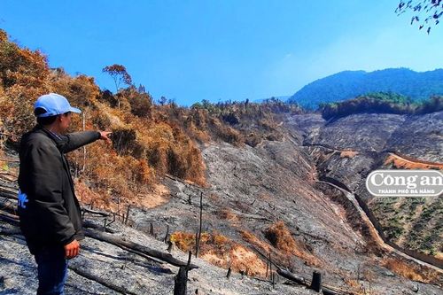 Khẩn trương hoàn chỉnh hồ sơ khởi tố vụ cháy rừng ở Đông Giang