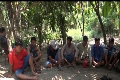 Vĩnh Long: Triệt phá trường gà trong vườn măng cụt