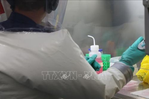 Australia xem xét mối liên hệ giữa virus Corona và bệnh Kawasaki