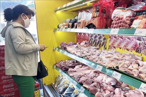 C.P. Việt Nam: Không có chuyện ngừng bán lợn hơi từ 15/5