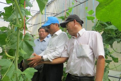Chủ tịch UBND tỉnh Nguyễn Văn Dương thăm các mô hình kinh tế huyện Hồng Ngự