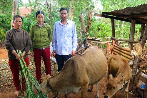Phát huy hiệu quả: Quỹ 'Vì người nghèo'