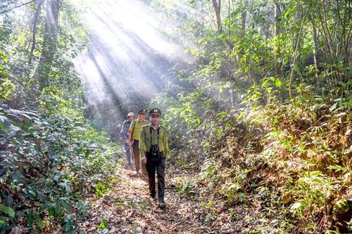 Na Hang bảo vệ rừng tự nhiên