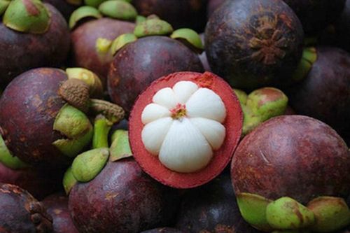 Bí quyết chọn quả măng cụt ngon ngọt, không bị chai sượng