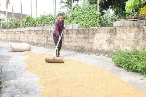Người nghèo Hà Tĩnh bác tin bị ép buộc, khẳng định tự nguyện nhường tiền hỗ trợ