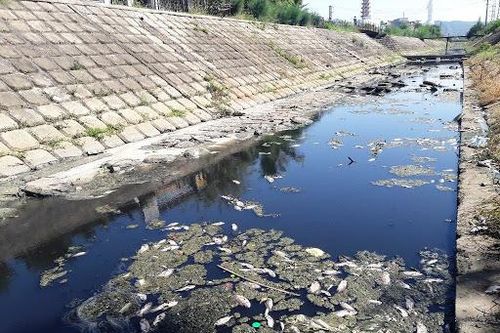 Xuất hiện điểm nóng về ô nhiễm môi trường nước