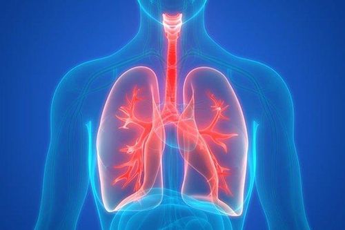 Hai người Việt đăng ký hiến phổi cho BN 91