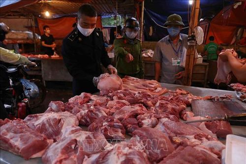 Giá thịt lợn ở mức cao sẽ là áp lực đối với lạm phát năm 2020