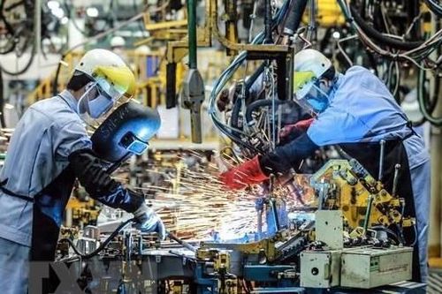 Kinh tế Đà Nẵng đang phục hồi sau đại dịch