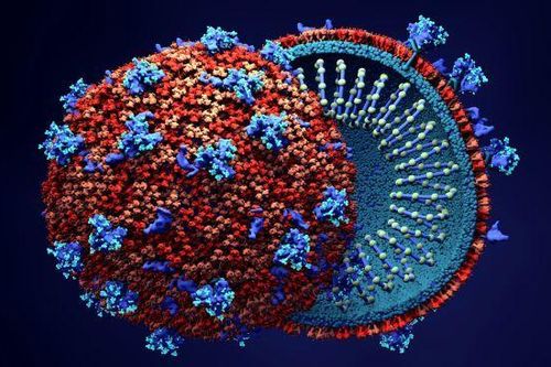 Bộ trưởng Ấn Độ nói SARS-CoV-2 xuất phát từ phòng thí nghiệm, không phải virus tự nhiên