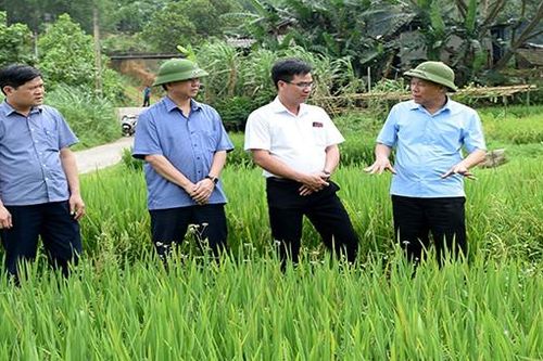 Phó Chủ tịch Yên Bái chỉ đạo quy hoạch, bố trí quỹ đất để xây dựng các khu tái định cư