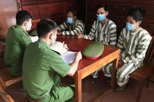 Liên tiếp phát hiện, bắt, xử lý các nhóm đối tượng hủy hoại rừng