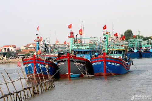 Vì sao hàng trăm tàu cá ở Nghệ An nằm bờ giữa mùa đánh bắt cao điểm?