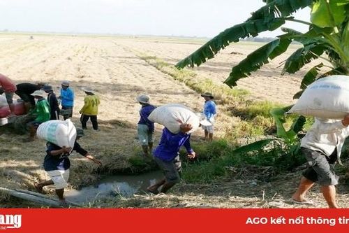 Phát triển hợp tác xã trong VnSAT