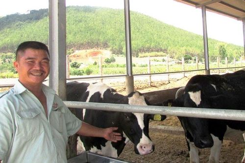 Chuyển dịch cơ cấu kinh tế ở Đơn Dương