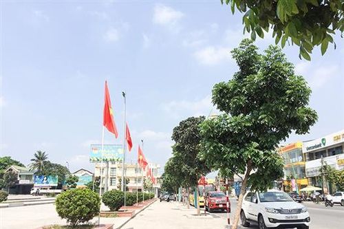 Phường 5 đẩy mạnh công tác quản lý trật tự đô thị