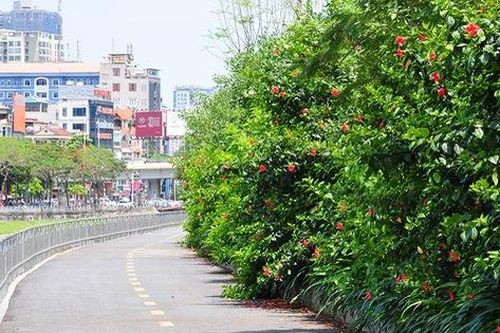 Sự thay đổi đáng kinh ngạc của tuyến đường đi bộ dọc sông Tô Lịch sau một năm đi vào hoạt động