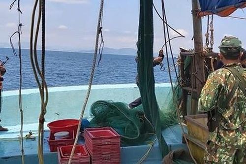 Nổ súng truy bắt tàu giã cào đánh bắt trái phép trên biển Hà Tĩnh