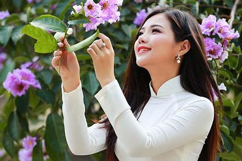 Hà Nội 'nhuộm tím' trong sắc bằng lăng đẹp đến xiêu lòng
