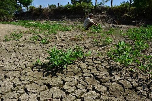 Quảng Ngãi: Khô hạn khốc liệt ở nhiều nơi