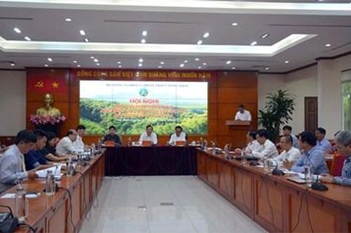 Tập trung sản xuất đồ gỗ gia dụng để phát triển, thích ứng với dịch Covid-19