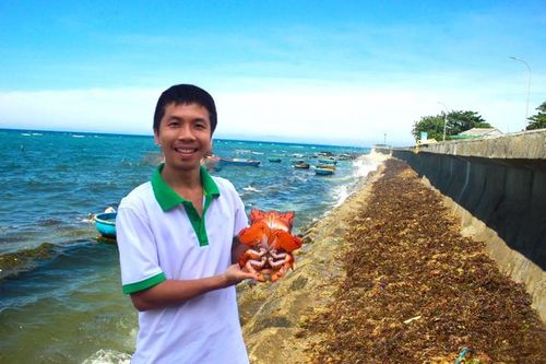 Người thả cua huỳnh đế về với biển