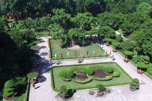 Chuyện về cây đa ở Khu Di tích lịch sử quốc gia đặc biệt Kim Liên