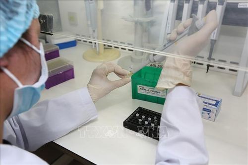 Singapore phát triển bộ xét nghiệm nhanh virus SARS-CoV-2