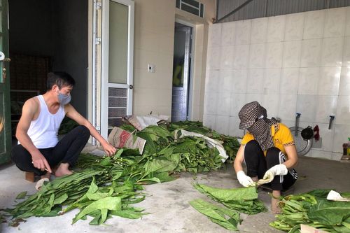 Gian truân nghề làm thuốc lào