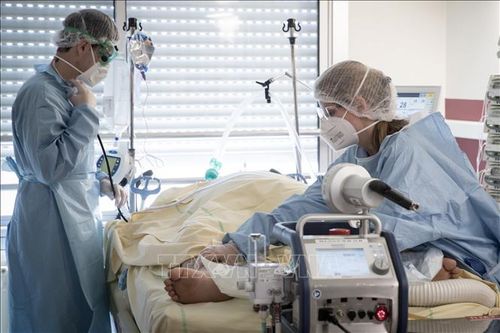Bệnh nhi đầu tiên tại Pháp tử vong do hội chứng viêm hiếm gặp liên quan đến virus SARS-CoV-2