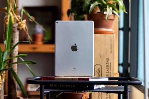 Apple sẽ cho ra mắt iPad mini mới với màn hình lớn hơn