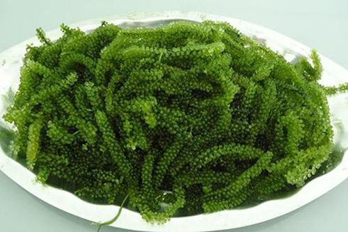 Cách ăn rong biển có lợi cho sức khỏe