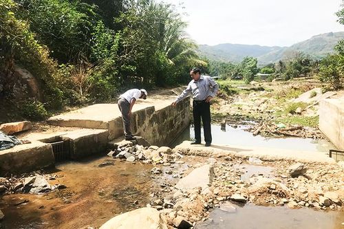 Quay quắt vì khô hạn