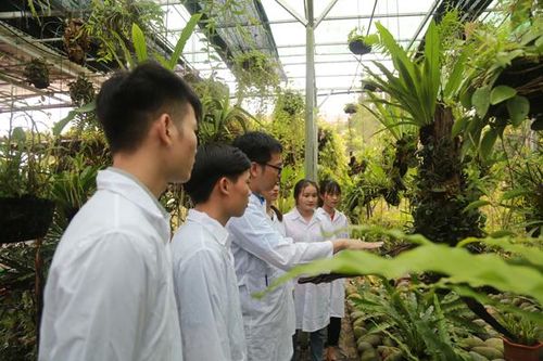 Bài cuối: 'Tiếp lửa' cho phát triển giáo dục vùng dân tộc thiểu số