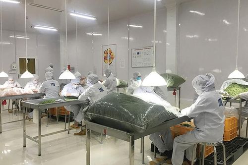 Khuyến công Lâm Đồng hỗ trợ doanh nghiệp phát huy nội lực