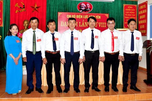 Đại hội Chi bộ Điện lực Hàm Yên lần thứ VIII