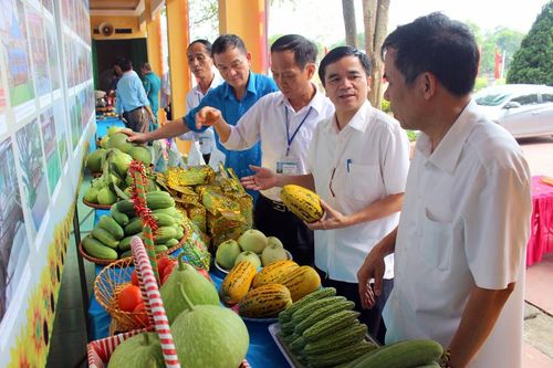 Thẩm định kết quả thực hiện Chương trình xây dựng nông thôn mới