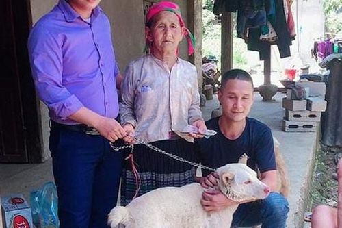Cụ bà H'Mông khóc thương khi phải bán chó, thanh niên vượt 140km tặng lại bà