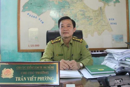 Đà Nẵng nâng mức báo động cháy rừng lên cấp nguy hiểm
