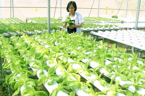 Sống chung với hạn hán