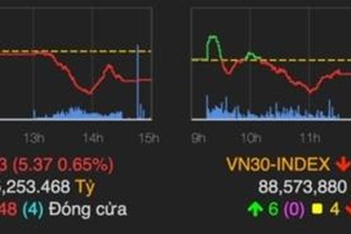Chứng khoán trong tuần: Giao dịch khối ngoại tiếp tục diễn ra tích cực