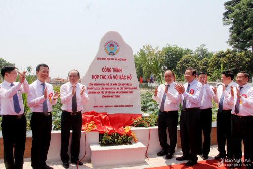 Hoàn thành Công trình 'Hợp tác xã với Bác Hồ' tại Nghệ An