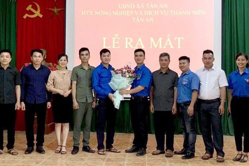 Thành lập Hợp tác xã Nông nghiệp và dịch vụ Thanh niên Tân An