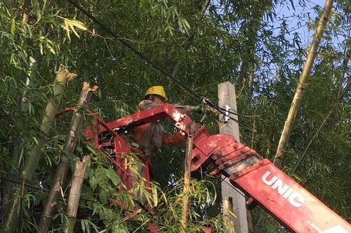 Người dân vẫn vi phạm hành lang lưới điện