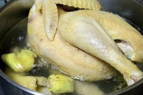 Thêm nắm lá này vào nước sôi để làm gà, đảm bảo sạch cả lông măng, mùi tanh cũng biến mất