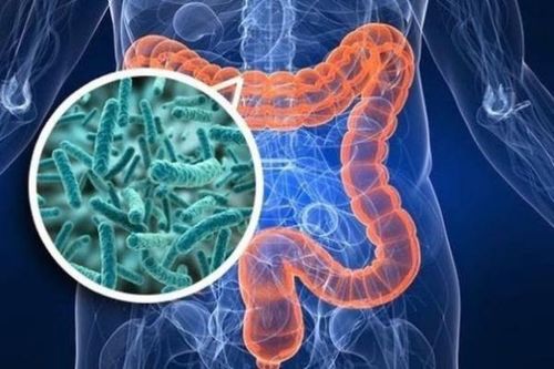 Khắc phục rối loạn tiêu hóa do dùng thuốc kháng sinh thế nào?