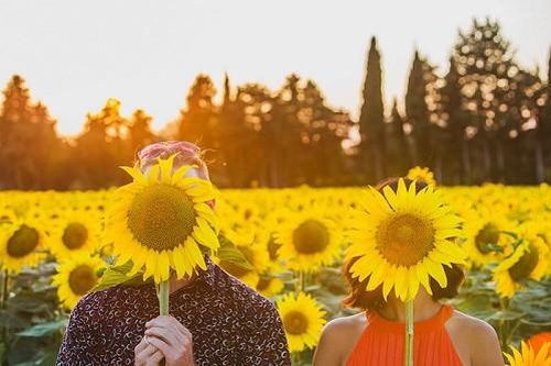 Cuộc thi viết Trà sữa cho tâm hồn: Đừng là hướng dương mãi ngóng về Mặt Trời
