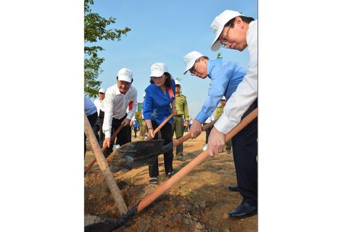 'Tết trồng cây đời đời nhớ ơn Bác Hồ', tổng vệ sinh môi trường và phát triển mảng xanh