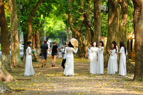 Hà Nội đẹp nao lòng mùa lá rụng