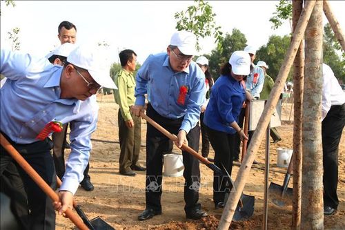 TP Hồ Chí Minh phát động Tết trồng cây đời đời nhớ ơn Bác Hồ